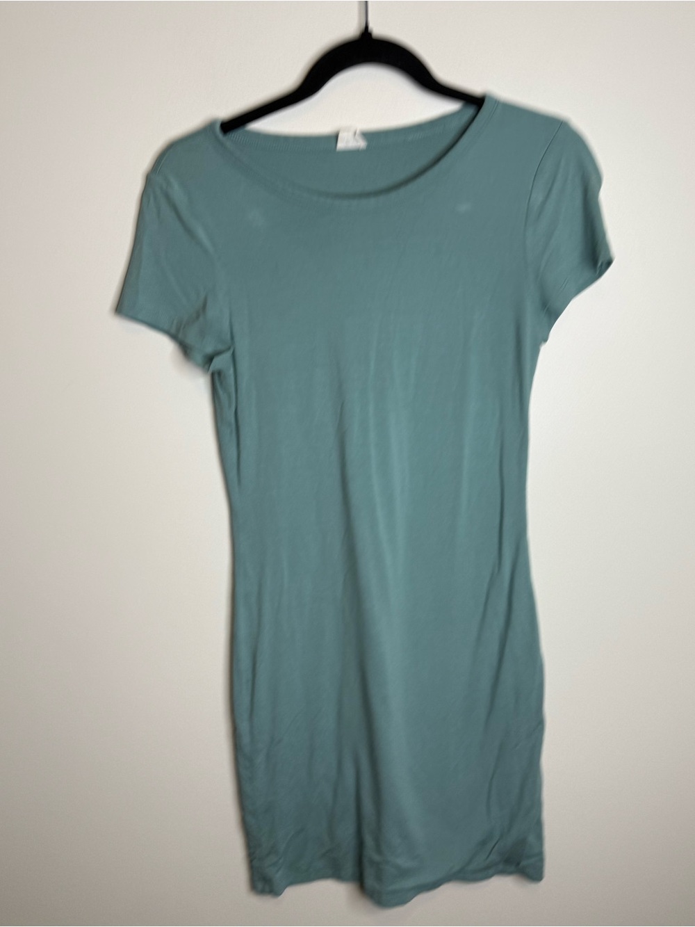 Wilfred Free Tiny T-Shirt Dress aritzia green blue size medium